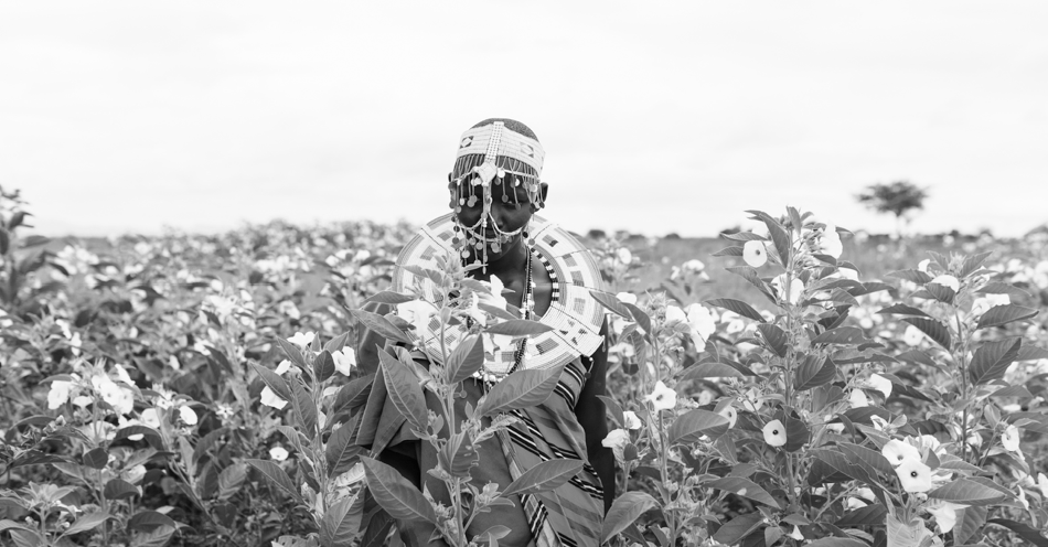 Focus on the Maasai culture and their beauty accessories 