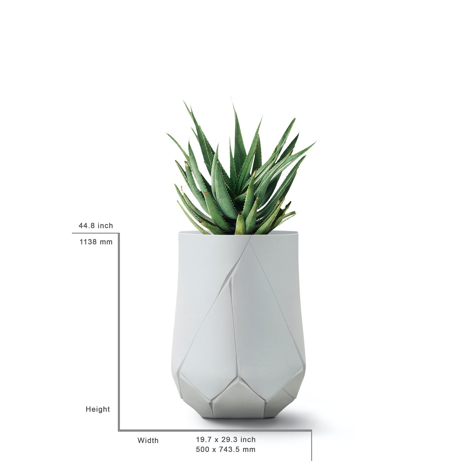 BhacaLargewithmeasurements.jpg