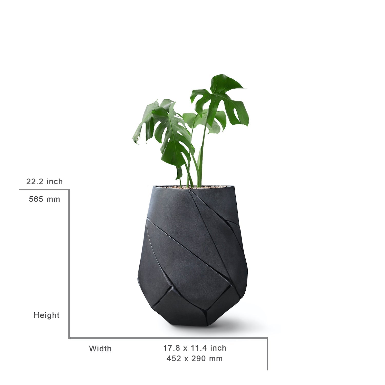 BhacaXSwithmeasurements.jpg