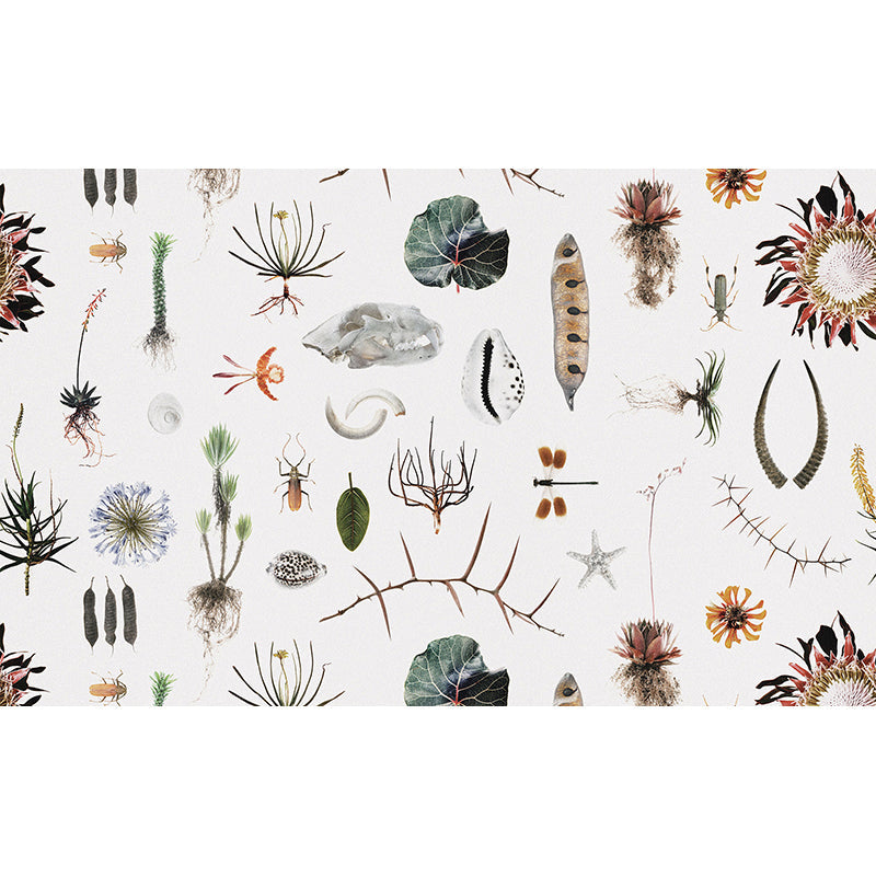 CabinetofNaturalCuriosities-color.jpg