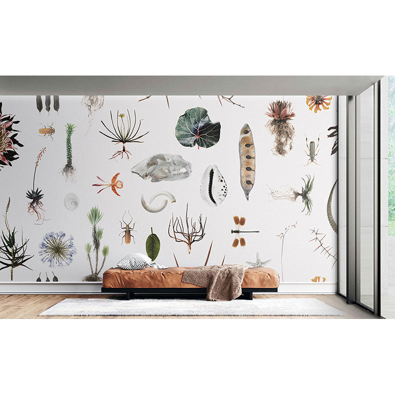 CabinetofNaturalCuriosities-color.jpg