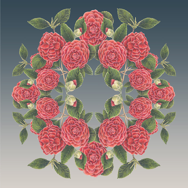 Camellia-Wreath-Botanical-Mural-Midnight-by-Adrienne-Kerr-1.jpg