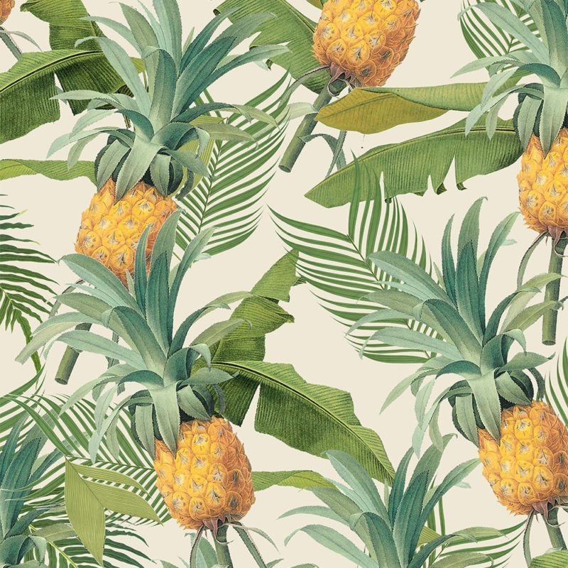 Clinton-Friedman-pineapple_cream-e1468591617975.jpg