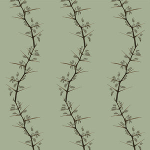 Dusty-Green-Curved-Thorns-by-Leigh-Kelly-Hertzberger.jpg