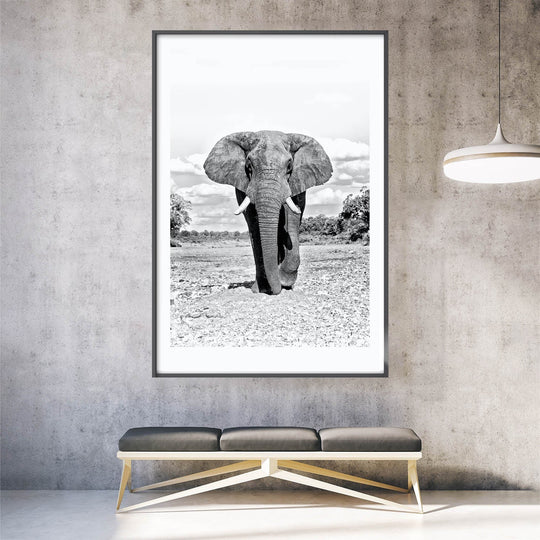ElephantKrugerPark-insitu.jpg