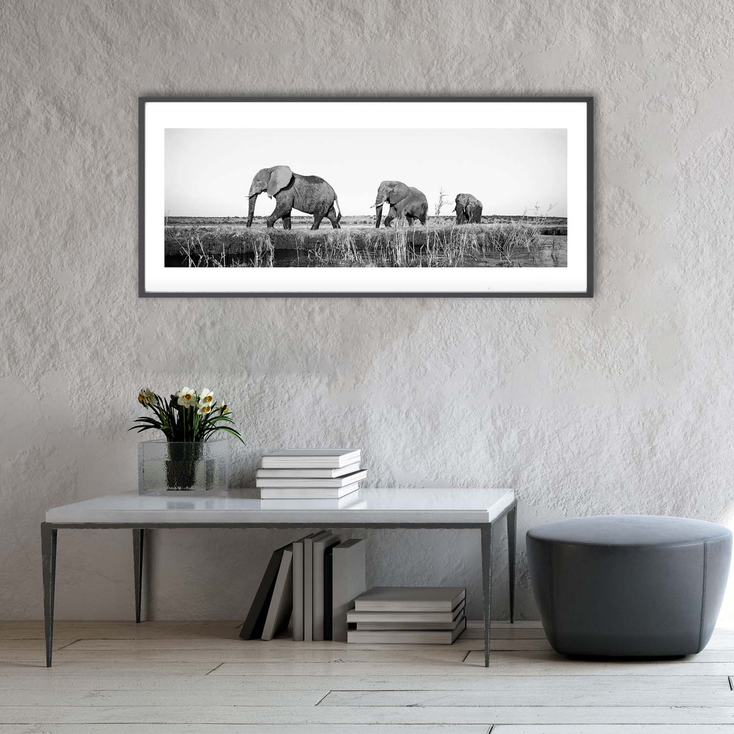 Insitu-ELEPHANTS_CHOBEARTPRINT1.jpg