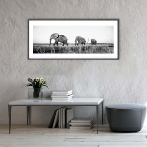 Insitu-ELEPHANTS_CHOBEARTPRINT1.jpg