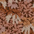 Parasol Leaves in Terra Firma wallpaper