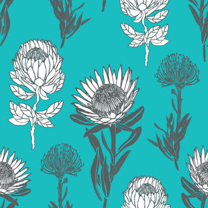 Protea-Combo-Teal_800x800_Tharien-Smith.jpg