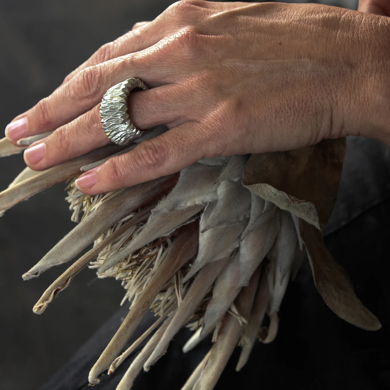 Ruffle ring.png