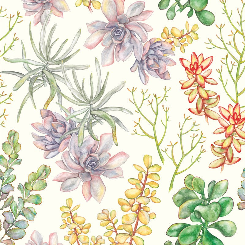 Succulentgarden2.jpg