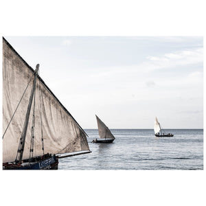 Three_20Dhows_20JWC_DHOWS14.jpg