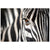 Zebra_20Eye_d4d8ca73-9f92-43ba-9a01-b81d30f30d66.jpg