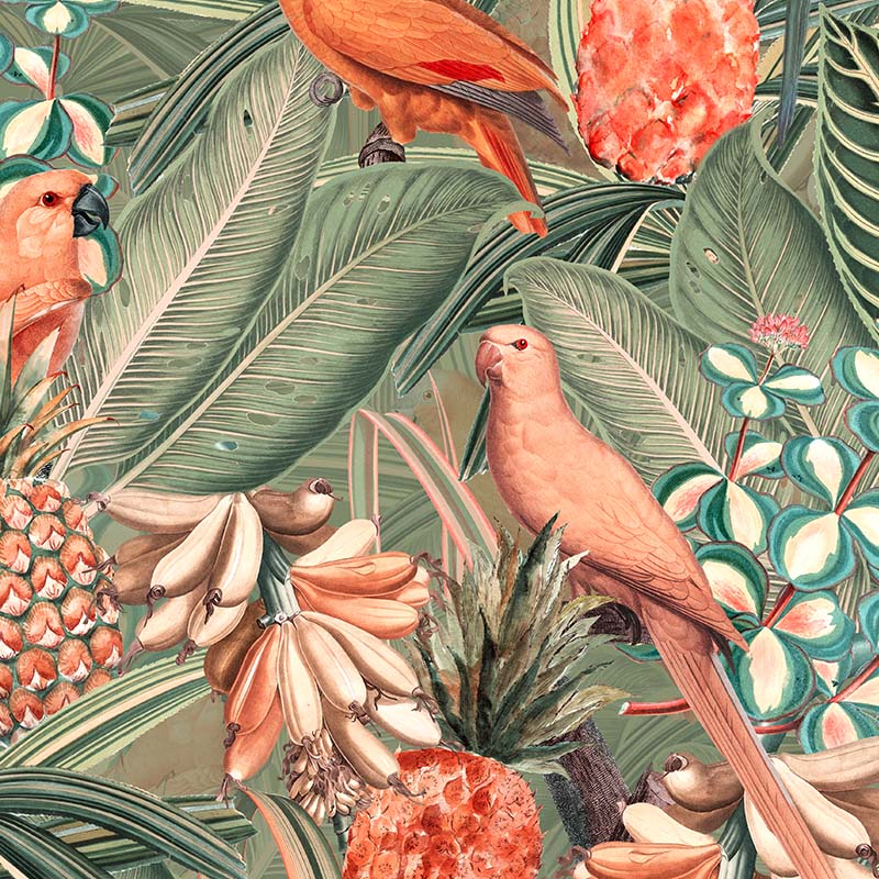Black Stork & Exotic Birds Tropical Wallpaper RM2098 – Walls Republic US