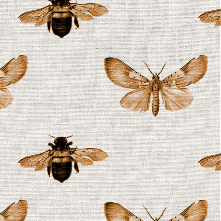 Download Virgo Zodiac Moth Art Wallpaper  Wallpaperscom